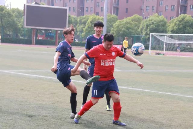 世界杯F组巡礼：荷兰最强盾PK瑞典犀利刀 日本短板明显