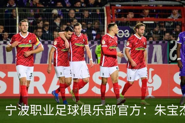 宁波职业足球俱乐部官方：朱宝杰、刘博洋、艾迪等8名球员离队