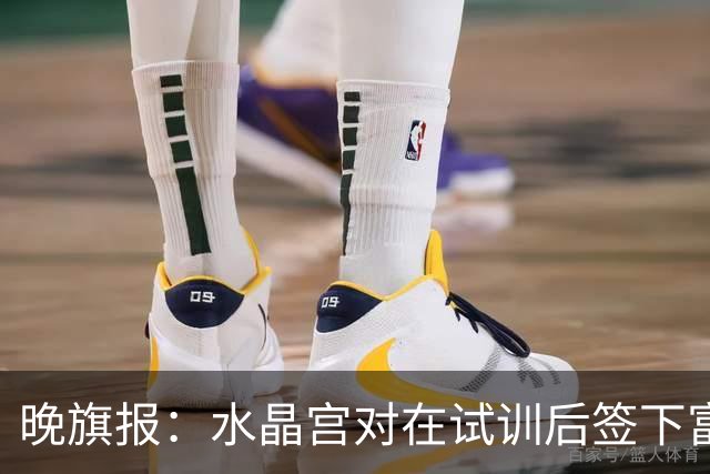 晚旗报：水晶宫对在试训后签下富安健洋持开放态度