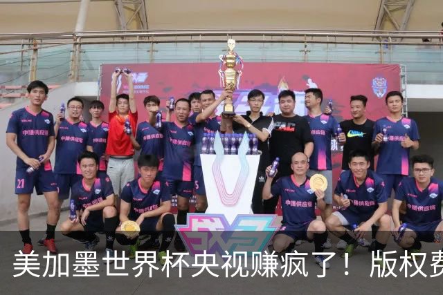 美加墨世界杯央视赚疯了！版权费仅6000万美元，收入或破80亿大关