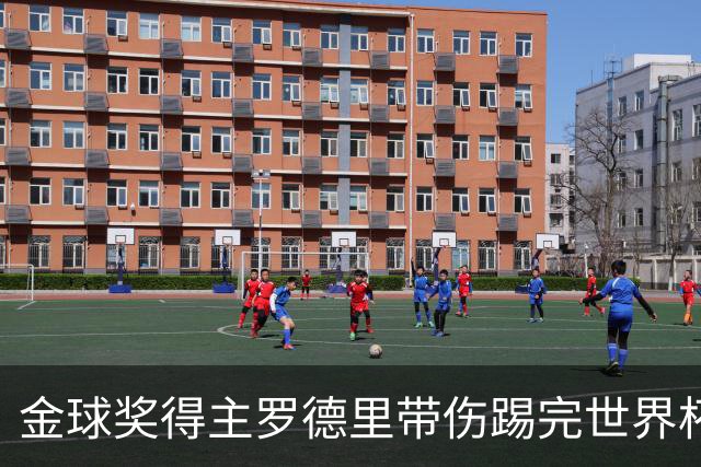 金球奖得主罗德里带伤踢完世界杯将手术，曼城新赛季开局告急